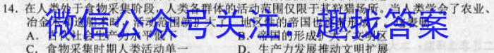 2023高考名校导航冲刺金卷(五)历史