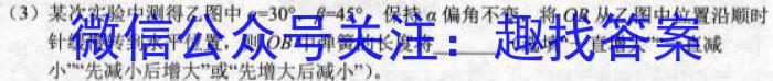2023湖北十一校第二次高三3月联考q物理