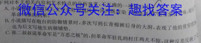 山西省2023年九年级中考模拟试题语文