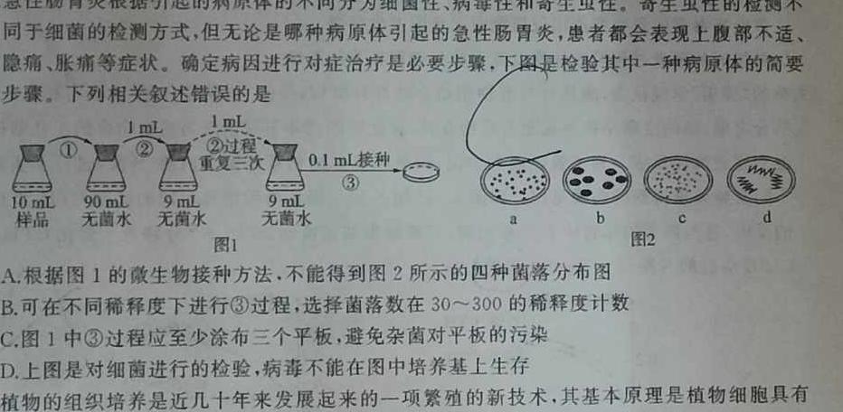 2023年河北省新高考模拟卷（三）生物