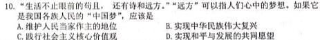 2023届中考导航总复习·模拟·冲刺·二轮模拟卷(一)政治y