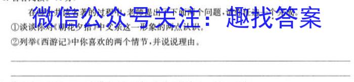 金考卷2023年普通高等学校招生全国统一考试 新高考卷 押题卷(二)语文