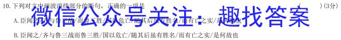 2023年普通高等学校招生全国统一考试 23·JJ·YTCT 金卷·押题猜题(十一)语文