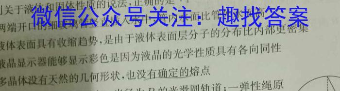 2023年湖北省新高考信息卷(三)物理`