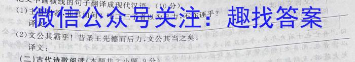 金考卷2023年普通高等学校招生全国统一考试 全国卷 猜题卷(九)9语文