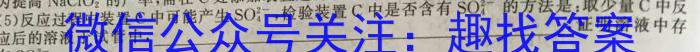 2023年普通高等学校招生全国统一考试仿真冲刺卷XKB(五)(六)化学