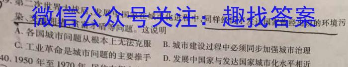 金考卷2023年普通高等学校招生全国统一考试 新高考卷 押题卷(八)历史