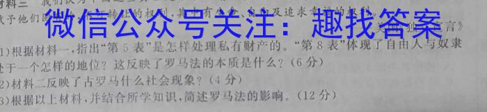 2025届山西大联考高一4月期中考试历史