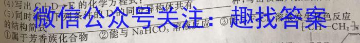 中考必刷卷·2023年安徽中考第一轮复习卷（十）化学