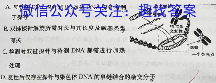 2023普通高等学校招生全国统一考试·冲刺押题卷QG(四)4生物