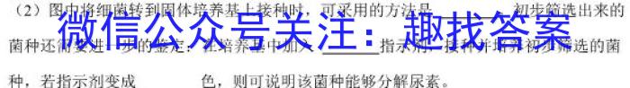 天一大联考·皖豫名校联盟2022-2023学年(下)高一年级阶段性测试(三)3生物