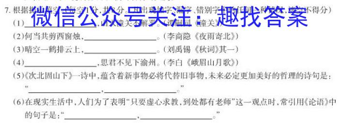 2023年河北省新高考模拟卷（三）语文