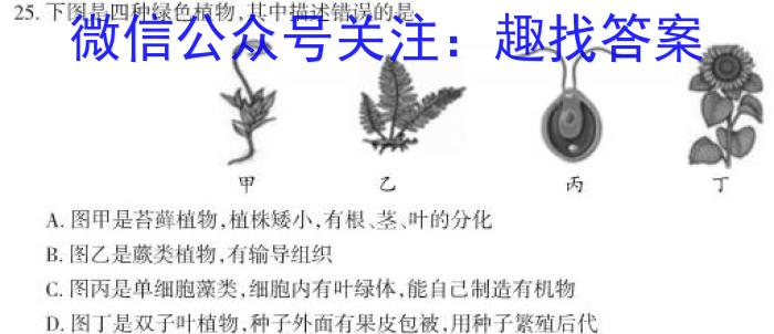 2023届普通高等学校招生全国统一考试冲刺预测卷XKB-TY-YX-E(一)1生物