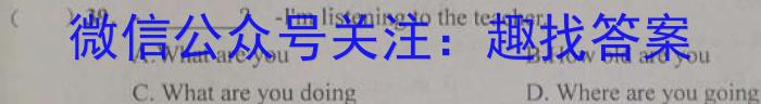 百校联赢·2023安徽名校大联考一英语试题