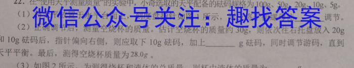 江西省九江市2023年初中学业水平考试复习试卷（一）.物理