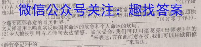 2023年湖北省新高考信息卷(四)语文
