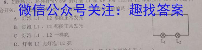 2023届名校之约·中考导向总复习模拟样卷 二轮(五)f物理