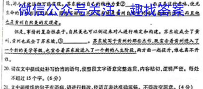 2023年赣州市十六县（市）高三年级二十校期中联考（4月）语文
