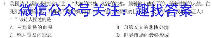 安徽省中考必刷卷·2023年名校内部卷（六）历史