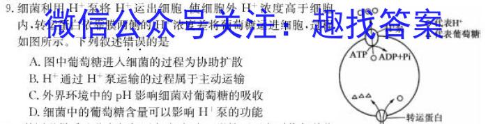 2023年普通高等学校招生全国统一考试金卷仿真密卷(十二)12 23新高考·JJ·FZMJ生物试卷答案