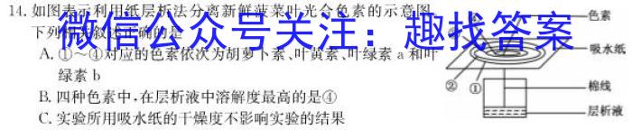 安徽省2023年九年级第一次教学质量检测(23-CZ140c)生物
