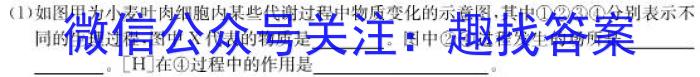 河北省2023届高三学生全过程纵向评价三生物