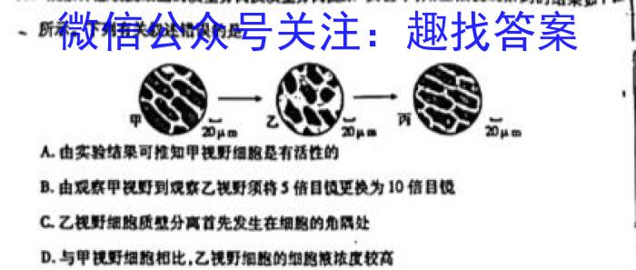 2023年普通高等学校招生全国统一考试金卷仿真密卷(十一)11 23新高考·JJ·FZMJ生物