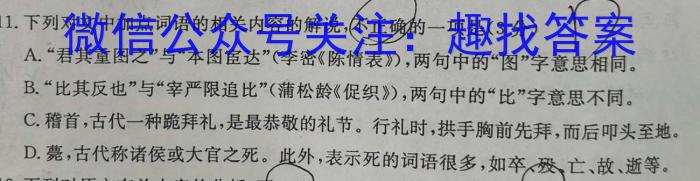 安徽省淮南市2023届九年级3月考试语文