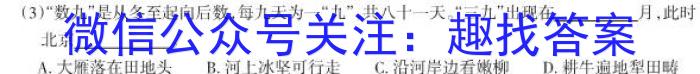 2025届云南高一年级3月联考s地理