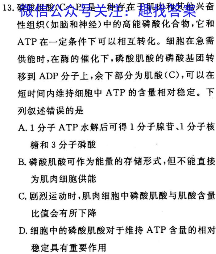 2023年安徽省示范高中皖北协作区第25届高三联考(23-300C)生物