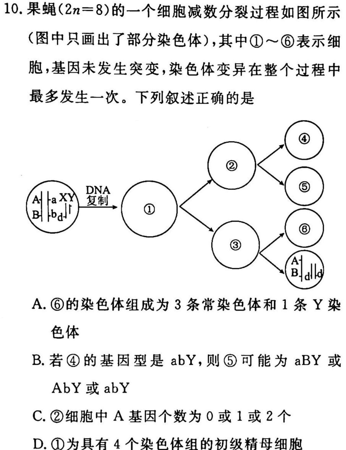 2023广东广州一模高三3月联考生物