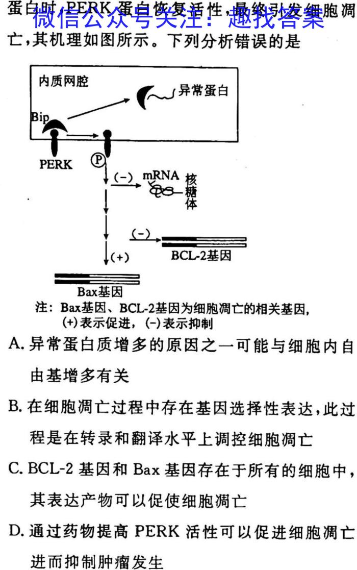 中考必刷卷·2023年安徽中考第一轮复习卷（三）生物