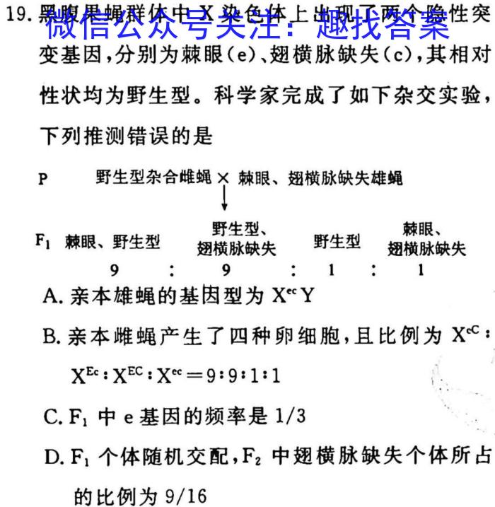 衡水名师卷 2023年辽宁名校联盟·信息卷(三)生物