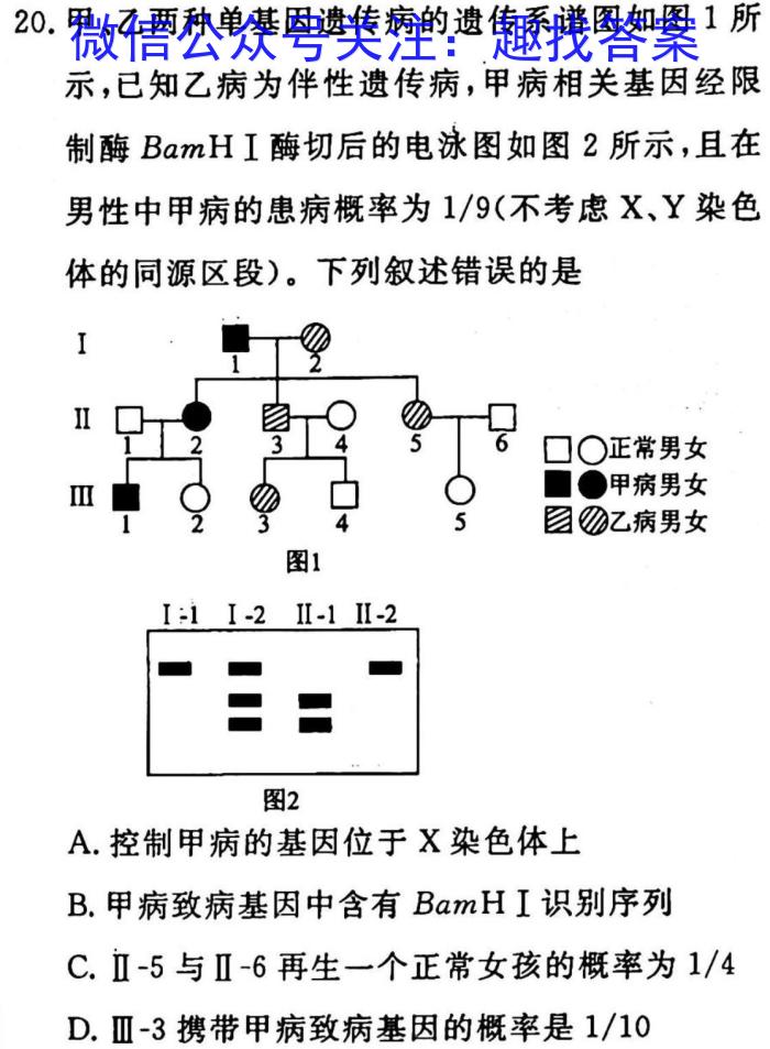 陕西省九年级联盟卷(23-CZ118c)生物试卷答案