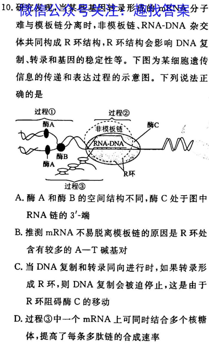 2023年河北省新高考模拟卷（四）生物