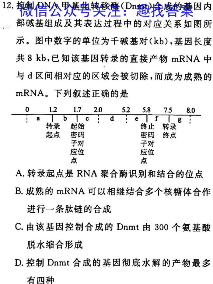 2023年湖北省新高考信息卷(三)生物