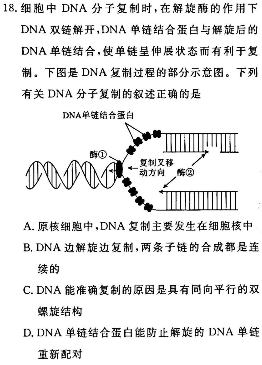 2023年陕西省初中学业水平考试·全真模拟卷（二）A版生物