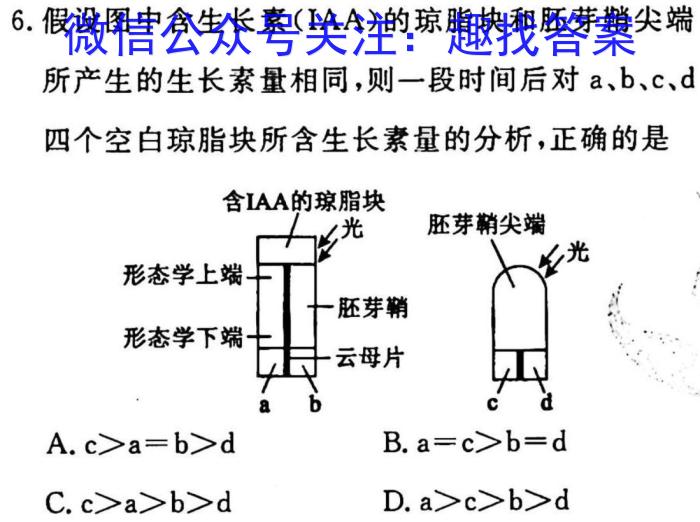 群力考卷·模拟卷·2023届高三第十一次生物