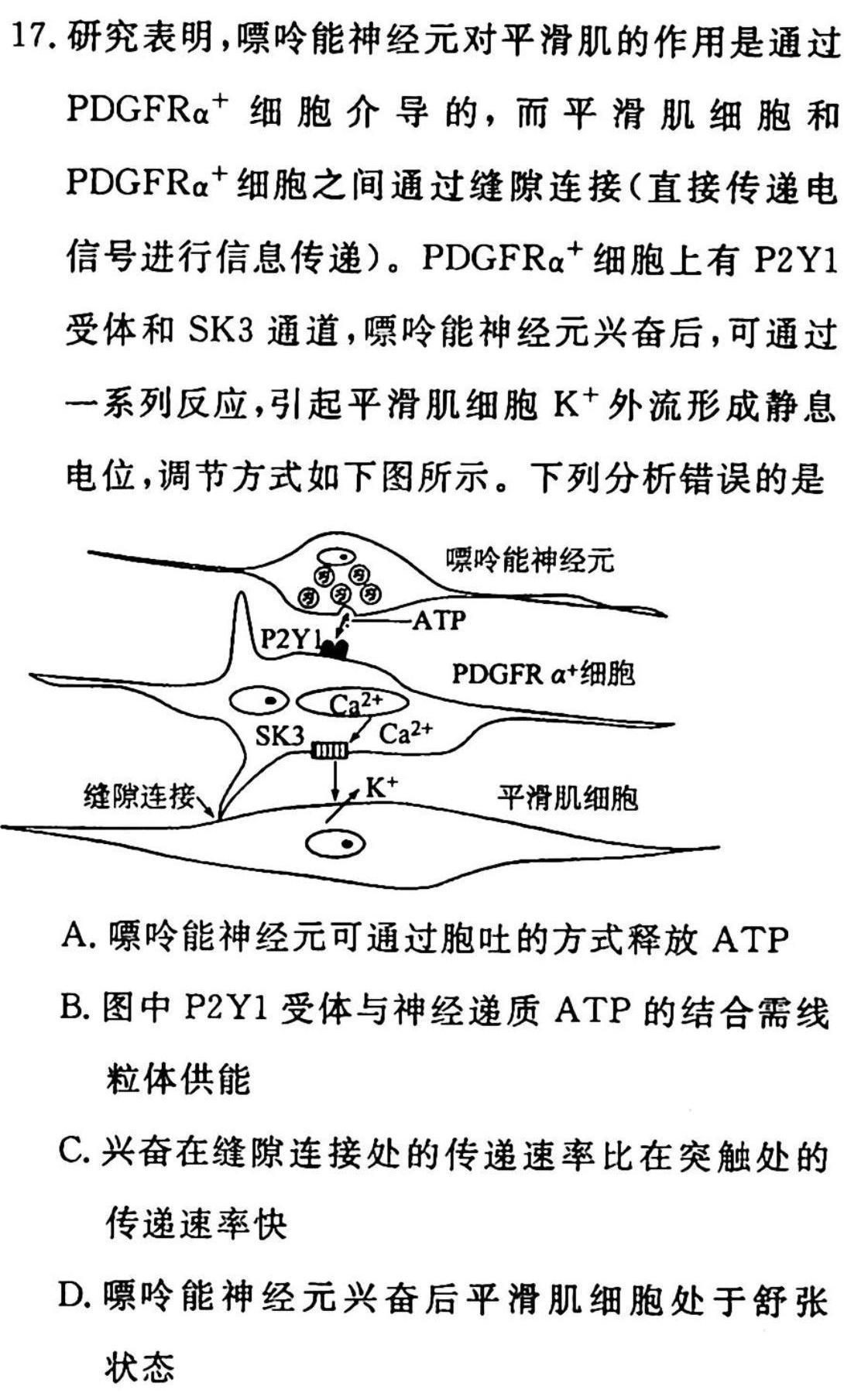 2023届衡中同卷 信息卷 新高考/新教材(五)生物