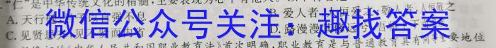 2023年普通高等学校招生全国统一考试进阶模拟试卷(仿真冲刺卷)(二)2s地理