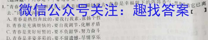 武汉市2023届高中毕业生四月调研考试政治1