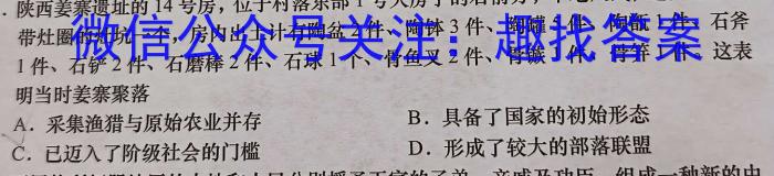 陕西省西安市西咸新区2023年初中学业水平考试模拟试题（一）B版历史