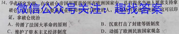 2023年河北高二年级3月联考（23-336B）历史