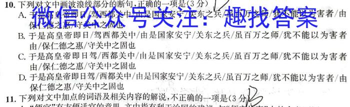 2024-2023湖南省高一阶段性诊断考试(23-355A)语文