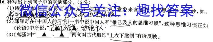 成都石室中学2022-2023学年度高三下期高2023届二诊模拟考试语文