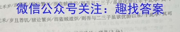 金考卷2023年普通高等学校招生全国统一考试 新高考卷 押题卷(四)语文