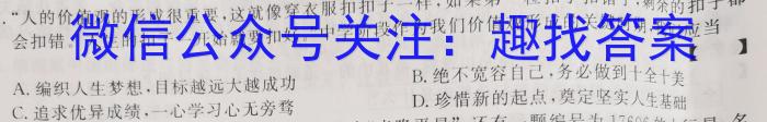 安徽省2022-2023学年九年级下学期期中教学质量调研政治1