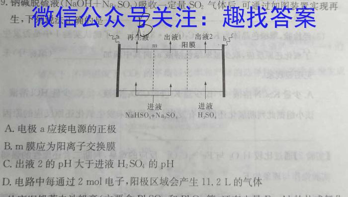 2023年普通高等学校招生全国统一考试仿真模拟卷(二)化学