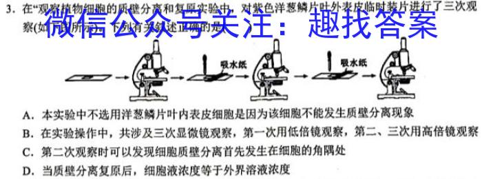 衡中文化2023年衡水新坐标·信息卷(一)生物