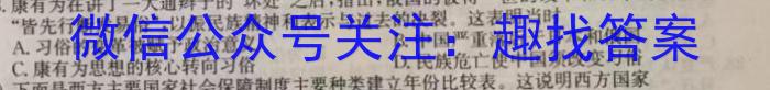 陕西省2023届临潼区、阎良区高三年级模拟考试（4月）历史